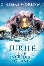 Watch Turtle The Incredible Journey M4ufreemovies