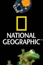 Watch National Geographic Wild Dam Beavers M4ufreemovies