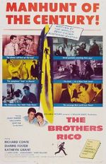 Watch The Brothers Rico M4ufreemovies