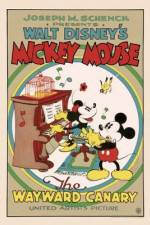 Watch The Wayward Canary M4ufreemovies