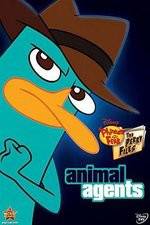 Watch Phineas And Ferb Animal Agents M4ufreemovies