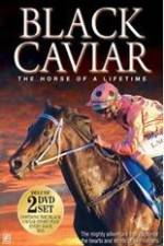Watch Black Caviar The Races M4ufreemovies
