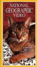 Watch Cats: Caressing the Tiger M4ufreemovies