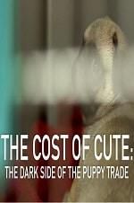 Watch The Cost of Cute: The Dark Side of the Puppy Trade M4ufreemovies