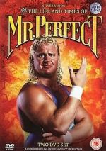 Watch The Life and Times of Mr. Perfect M4ufreemovies