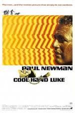 Watch Cool Hand Luke M4ufreemovies