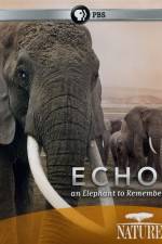 Watch Echo: An Elephant to Remember M4ufreemovies