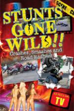 Watch Stunts Gone Wild: Crashes, Smashes & Road Rashes! M4ufreemovies
