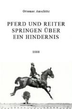 Watch Pferd und Reiter Springen über ein Hindernis M4ufreemovies