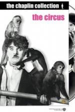 Watch The Circus M4ufreemovies