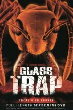 Watch Glass Trap M4ufreemovies