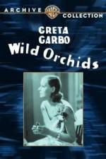 Watch Wild Orchids M4ufreemovies