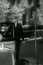 Watch Night Life in Reno M4ufreemovies