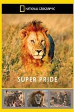 Watch National Geographic: Super Pride  Africa's Largest Lion Pride M4ufreemovies