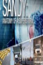 Watch Sandy Anatomy Of A Superstorm M4ufreemovies