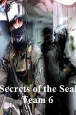 Watch Discovery Channel Secrets of Seal Team 6 M4ufreemovies