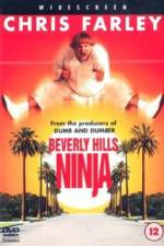Watch Beverly Hills Ninja M4ufreemovies