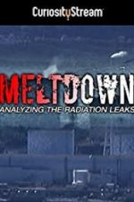 Watch Meltdown: Analyzing the Radiation Leaks M4ufreemovies