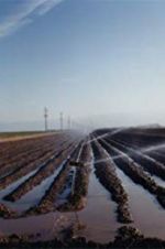 Watch El Valley Centro M4ufreemovies