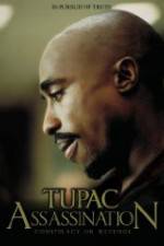 Watch Assassination: Conspiracy or Revenge M4ufreemovies