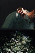 Watch The Hedge Theater M4ufreemovies