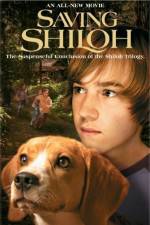 Watch Saving Shiloh M4ufreemovies