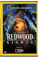 Watch National Geographic Explorer: Climbing Redwood Giants M4ufreemovies