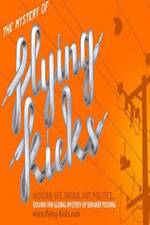 Watch The Mystery of Flying Kicks M4ufreemovies