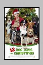 Watch 12 Dog Days of Christmas M4ufreemovies