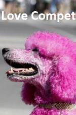 Watch The Love Competition M4ufreemovies