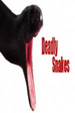 Watch National Geographic Wild Deadly Snakes M4ufreemovies