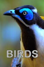 Watch Birds (Short 2021) M4ufreemovies