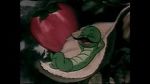 Watch The Wacky Worm (Short 1941) M4ufreemovies