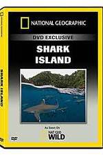 Watch National Geographic: Shark Island M4ufreemovies
