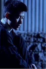 Watch The Place on the Tricorne M4ufreemovies