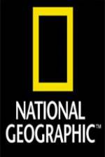 Watch National Geographic Wild Night Of The Lion M4ufreemovies