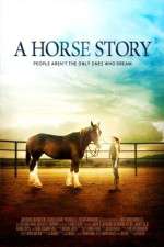 Watch A Horse Story M4ufreemovies