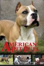 Watch American Pit Bull M4ufreemovies