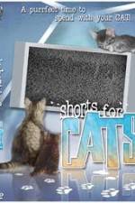 Watch Shorts for Cats M4ufreemovies