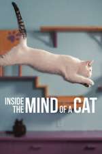 Watch Inside the Mind of a Cat M4ufreemovies