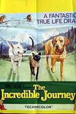 Watch The Incredible Journey M4ufreemovies