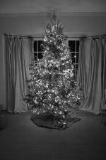 Watch The Christmas Miracle M4ufreemovies