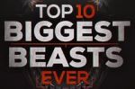 Watch Top 10 Biggest Beasts Ever M4ufreemovies