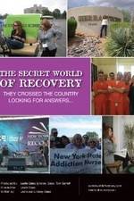 Watch The Secret World of Recovery M4ufreemovies