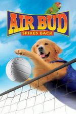Watch Air Bud: Spikes Back M4ufreemovies