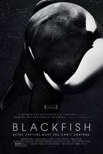 Watch Blackfish M4ufreemovies