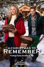 Watch A Christmas to Remember M4ufreemovies
