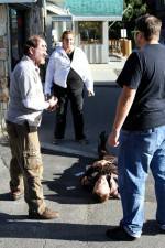 Watch Dead Stop M4ufreemovies