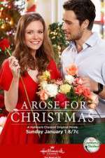 Watch A Rose for Christmas M4ufreemovies