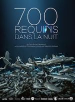 Watch 700 requins dans la nuit M4ufreemovies